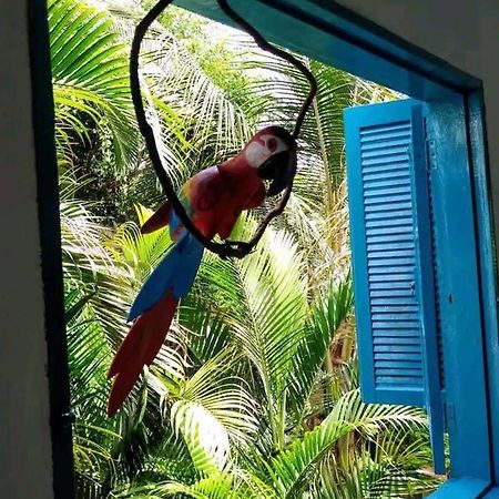 Casa Ilhabela A Cinco Minutos Do Centro 빌라 외부 사진