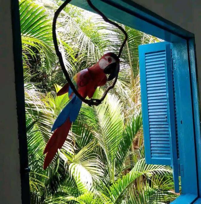Casa Ilhabela A Cinco Minutos Do Centro 빌라 외부 사진